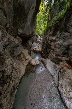 Engebeli uçurumlar boyunca cüretkar bir iniş, Slovenya 'nın nefes kesici Triglav Milli Parkı' nda şelale gibi akan sularla dolu sakin ve güneşli bir vadiyi gözler önüne seriyor.