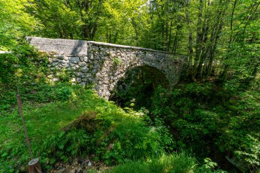 Slovenya 'nın el değmemiş Triglav Ulusal Parkı' ndaki yemyeşil bir akarsu üzerinde uzanan sakin bir taş köprü, sonsuz sükuneti ve doğal güzelliği çağrıştırıyor.