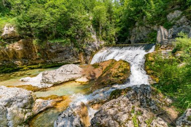Güçlü bir şelale, gür yeşil ormanlardaki engebeli kayaların üzerinden zarif bir şekilde akıyor. Slovenya 'da dinginlik ve el değmemiş doğal güzelliği çağrıştırıyor.