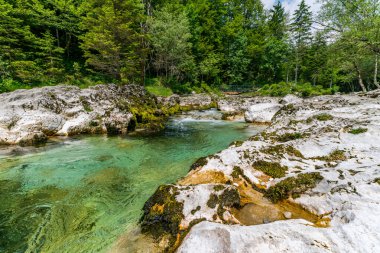 Kristal berrak sular, huzur ve doğal güzelliği çağrıştıran sakin bir ormandaki yosun kaplı kayaların üzerinde yavaşça taşar.