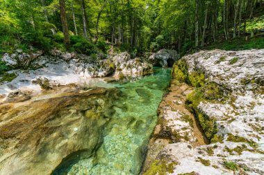 Kristal berrak su, huzur ve doğal güzelliği çağrıştıran gür, sakin bir ormanda, yosunlu kayaların üzerinde zarifçe çağlar.