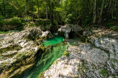 Slovenya 'da sakin bir doğal havuz zümrüt gibi parlıyor Mostnica Vadisi' nde, yürüyüşçüleri antik ağaçlar ve engebeli uçurumların altında duraklamaya ve el değmemiş güzelliklere dalmaya davet ediyor.