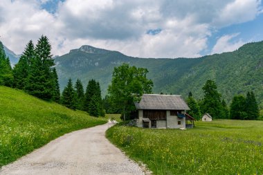 Bereketli çayırlar ve yumuşak gün ışığı altında yükselen dağlar tarafından çerçevelenmiş dolambaçlı bir yolun yanında sakin bir dağ kulübesi duruyor.