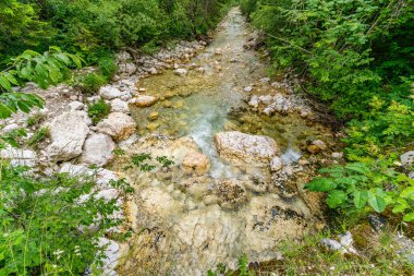 Sloven Triglav Milli Parkı 'nda huzur ve doğal güzelliği çağrıştıran sakin bir dağ akıntısı, pürüzsüz kayaların üzerinde zarafetle akıyor.