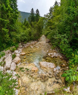 Slovenya 'nın nefes kesici Mostnica Gorge manzarasında huzur ve doğal güzelliği çağrıştıran, canlı yeşilliklerle çevrili, pürüzsüz kayaların üzerinde zarif bir dağ akıntısı geziniyor.