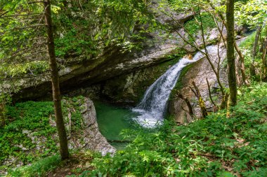 Huzurlu bir şelale, Slovenya 'nın el değmemiş el değmemiş çöllerinde barış ve doğal mucizeyi çağrıştıran canlı yeşilliklerle çevrili yosunlu bir kaya kemerinin altında zarifçe akıyor.