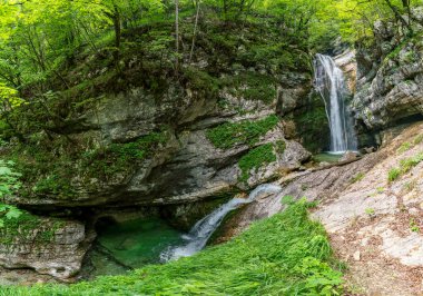 Sakin bir şelale engebeli kireçtaşından kayalıkların üzerinden zarif bir şekilde akıyor, Slovenya 'daki sükunet ve el değmemiş doğal güzellikleri anımsatıyor Triglav Ulusal Parkı