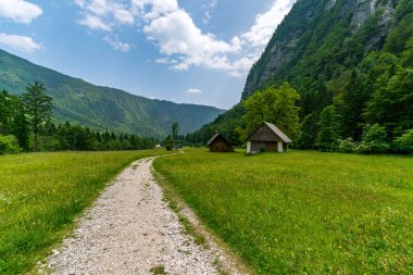 Parlak yeşil çayırlar boyunca uzanan sakin bir toprak yol, yükselen dağlar ve kırsal ahşap kulübelerle çerçevelenmiş, Slovenya 'da barış ve macera çağrıştıran, Triglav Milli Parkı' nı sersemleten
