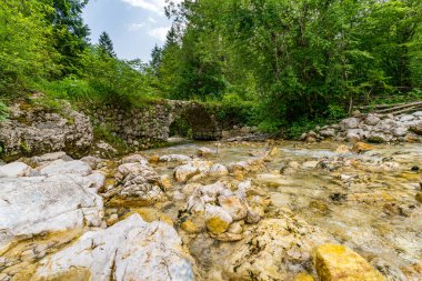 Bereketli yeşillikte sakin bir yürüyüş, çağlayan bir şelale ve engebeli taş oluşumlarını ortaya çıkararak, Slovenya 'nın el değmemiş el değmemiş çöllerinde barış ve doğal mucizeyi çağrıştırıyor.