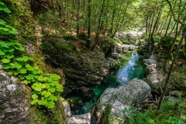 Slovenya 'nın el değmemiş Triglav Ulusal Parkı' ndaki yemyeşil ve engebeli kayaların arasından zarif bir şelale akıyor.