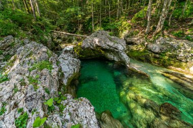 Engebeli kireçtaşı kemerlerle çevrelenmiş nefes kesici bir doğal havuz kristal berrak turkuaz sularla parıldıyor, Slovenya 'da sükunet ve merak uyandıran Triglav Milli Parkı