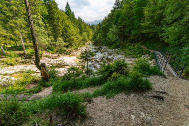 Slovenya 'nın el değmemiş Triglav Milli Parkı' nda barış ve macera çağrıştıran Mostnica Vadisi 'ndeki ışıl ışıl bir derenin yanındaki canlı yeşillik boyunca sakin bir yürüyüş yolu esiyor.