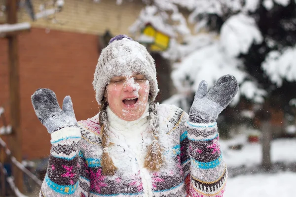 雪だるまの格闘 ストック写真