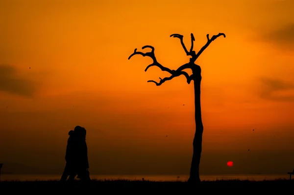 Två personer och ett träd silhouette — Stockfoto