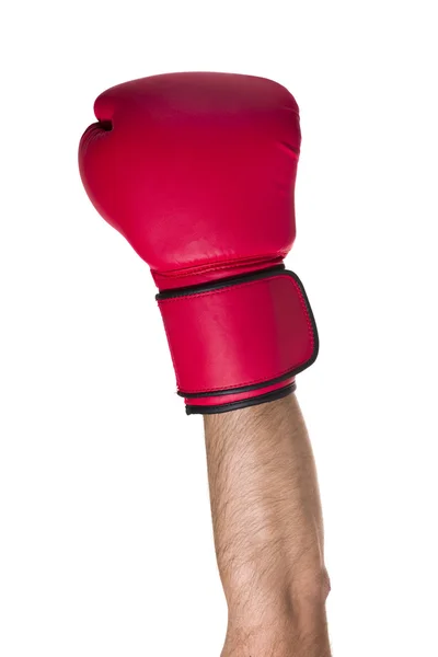 Luva de boxe em um fundo branco — Fotografia de Stock