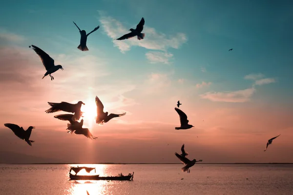日落时蓝天和红天上的海鸥和渔船的轮廓 — 图库照片
