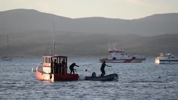 2020 Zmir Türkiye Kasım Ekim Ege Denizi Nde Bir Deprem — Stok video