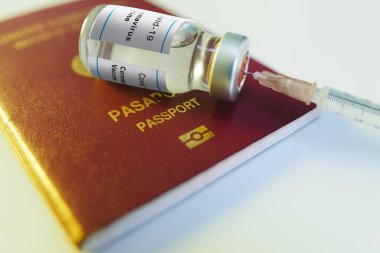 Koronavirüs aşısı şişesi ve aşı pasaportu olarak kırmızı renkli hindilerin olduğu bir şırıngayı yakın plan çek.