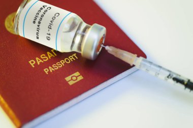 Koronavirüs aşısı şişesi ve aşı pasaportu olarak kırmızı renkli hindilerin olduğu bir şırıngayı yakın plan çek.