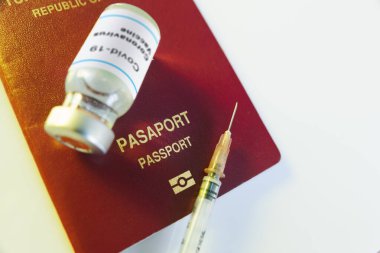 Koronavirüs aşısı şişesi ve aşı pasaportu olarak kırmızı renkli hindilerin olduğu bir şırıngayı yakın plan çek.