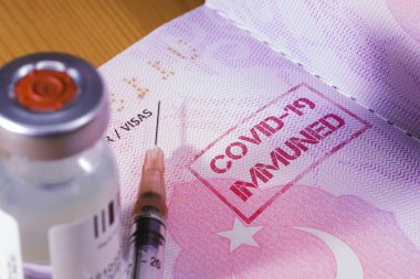 Koronavirüs aşısı şişesinin ve aşı pasaportu olarak hindilerin pasaportu olan şırınganın yakın plan fotoğrafını çek..
