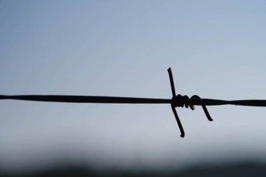 Mavi gökyüzü arkaplanındaki dikenli tellerin yakın çekim görüntüsü.