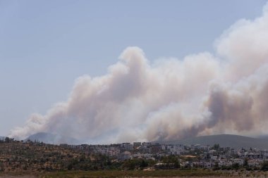 Mugla, Türkiye - 1 Ağustos 2021. Mugla Bodrum Mazi köyünde 2021 yazından kalma duman.