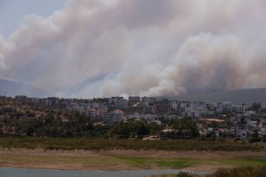 Mugla, Türkiye - 1 Ağustos 2021. Mugla Bodrum Mazi köyünde 2021 yazından kalma duman.