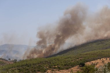 Mugla, Türkiye - 1 Ağustos 2021. Mazi köyünde orman yangını. Mugla Bodrum Türkiye Yazı 2021