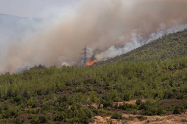 Mugla, Türkiye - 1 Ağustos 2021. Mazi köyünde orman yangını. Mugla Bodrum Türkiye Yazı 2021