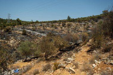 Muğla Bodrum Türkiye 'deki Bunrt Ormanı' nın manzara görüntüsü. 2021 yazında Türkiye 'de yangın çıktı.
