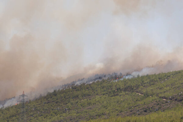 Мугла, Турция - 1 августа 2021 года. Лесной пожар в селе Мази Мугла Бодрум Турция Лето 2021