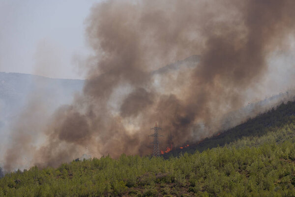 Мугла, Турция - 1 августа 2021 года. Лесной пожар в селе Мази Мугла Бодрум Турция Лето 2021