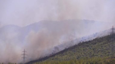 Mugla, Türkiye - 1 Ağustos 2021. Mazi köyü Mugla Bodrum Türkiye Yazı 2021 'de orman dumanlı Wildfire' ın görüntüsü
