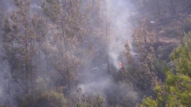 Mugla, Türkiye - 1 Ağustos 2021. Mazi köyü Mugla Bodrum Türkiye Yazı 2021 'de orman dumanlı Wildfire' ın görüntüsü