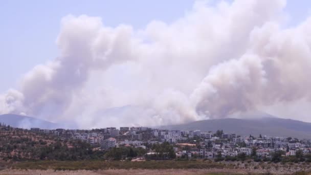 土耳其穆格拉 2021年8月1日 2021年夏季土耳其Mugla Bodrum Mazi村大火中的烟雾镜头 — 图库视频影像