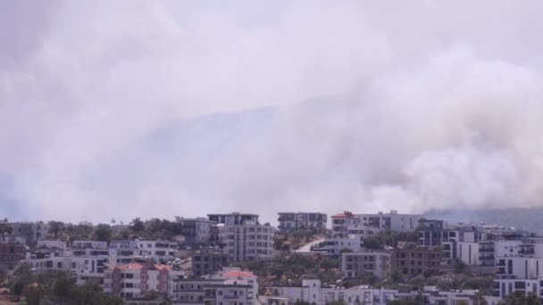 土耳其穆格拉 2021年8月1日 2021年夏季土耳其Mugla Bodrum Mazi村大火中的烟雾镜头 — 图库视频影像