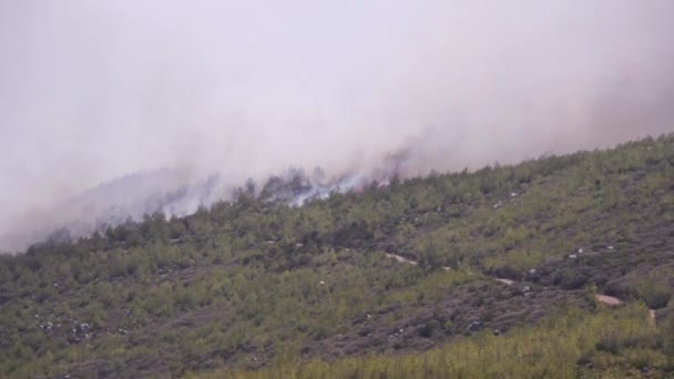 Mugla Turkiet Augusti 2021 Bilder Wildfire Med Rök Skogen Vid — Stockvideo