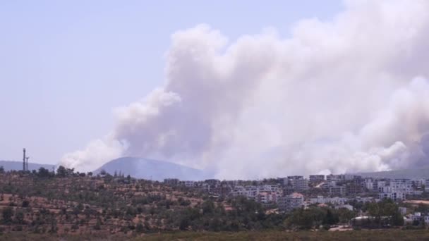 土耳其穆格拉 2021年8月1日 2021年夏季土耳其Mugla Bodrum Mazi村大火中的烟雾镜头 — 图库视频影像