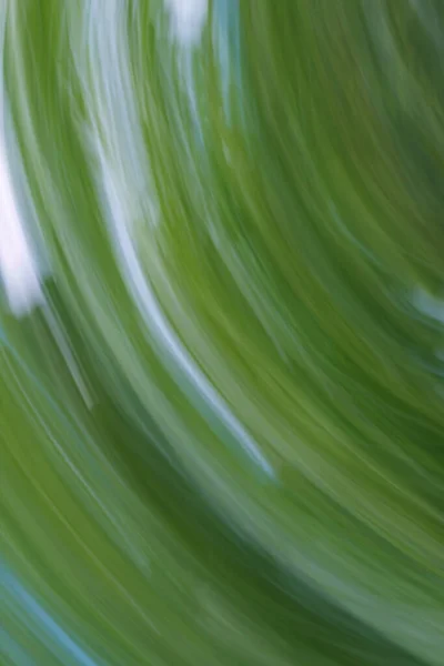 Abstrakter Hintergrund Texturierte Grüne Farben Der Natur — Stockfoto