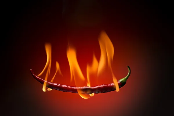 Hořící červené chili pepper — Stock fotografie