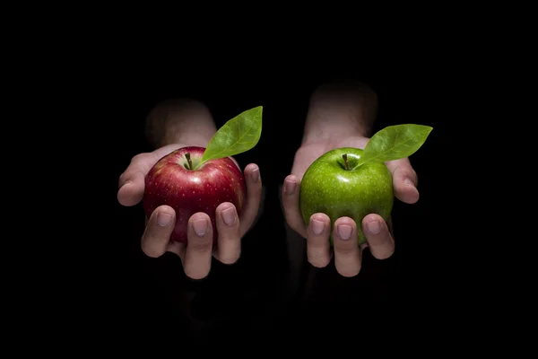 Kırmızı veya yeşil elma seçin — Stok fotoğraf