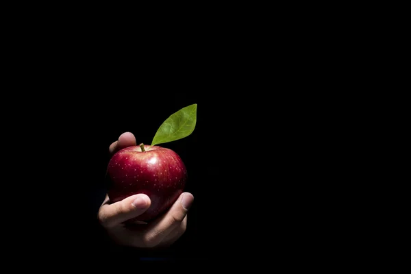 Hand erbjuder ett äpple. — Stockfoto