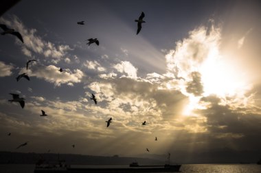 yapraklara bulutlu gün batımında.