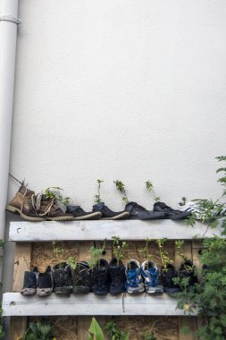 Ayakkabı içinde bitkiler.