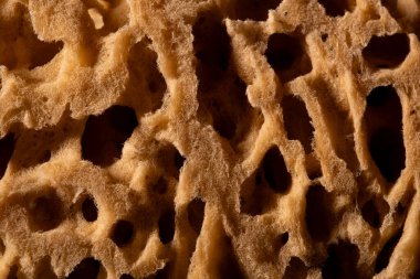 Okyanustan toplanmış gerçek bir organik deniz süngerinin aşırı yakın çekim fotoğrafı doğal gözenekler ve lifler sergiliyor.