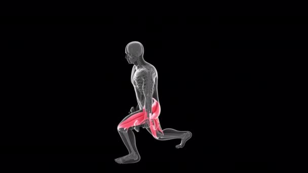 Animasyon Bir Röntgencinin Alternatif Hamleler Yaptığını Gösteriyor Dambıl — Stok video