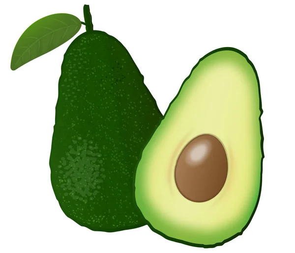 Illustration Von Avocado Und Halber Avocado Auf Weißem Hintergrund — Stockfoto