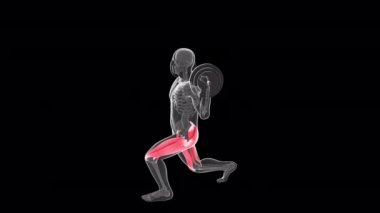 This 3d animation shows an xray man performing alternate front lunges with barbell