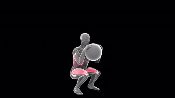 3D动画展示的是一个X光师在做腿部伸展动作 — 图库视频影像